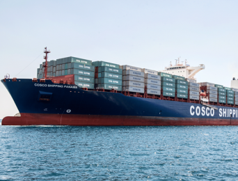 Vụ 100 container điều xuất khẩu sang Italy: Bài học đắt giá trong giao dịch quốc tế