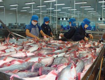 Series of Vietnamese exporters fall prey to Canadian scammer company