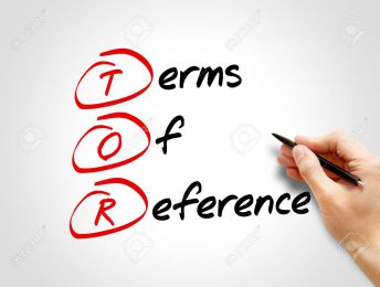 Summaries and Issues in the ICC Terms of Reference: The Right Level of Case Management
