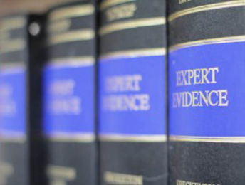 Expert evidence: practical tips for managing party-appointed experts