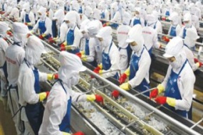 [Tp.HCM - Cần Thơ] Khóa đào tạo Hợp đồng Xuất Nhập khẩu thủy sản - Giảm thiểu rủi ro và Giải quyết tranh chấp