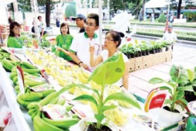 Sản phẩm bảo hộ tại Việt Nam chưa chắc nước khác công nhận