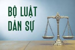 Hội thảo: Tổng kết thực tiễn thi hành và góp ý hoàn thiện bộ luật dân sự 2005