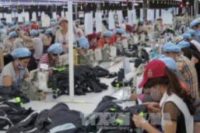 Trang bị kiến thức cần thiết về CPTPP cho doanh nghiệp