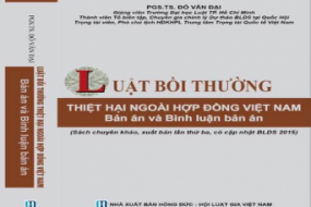 Ấn phẩm Luật Bồi thường thiệt hại ngoài hợp đồng Việt Nam: Bản án và bình luận bản án