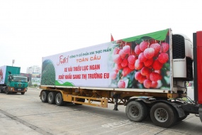 Doanh nghiệp phòng tránh rủi ro nào khi giao dịch điện tử?