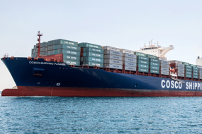Vụ 100 container điều xuất khẩu sang Italy: Bài học đắt giá trong giao dịch quốc tế