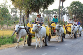 Cộng đồng SMEs hội nhập: những dấu chân tí hon