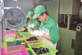 Kinh tế tư nhân: Cần siêu tập đoàn?