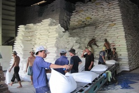 Nông sản vào Trung Quốc sụt giảm: cần giải pháp mạnh