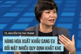 Hàng hóa xuất sang EU đối mặt nhiều quy định khắt khe
