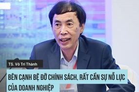 TS. Võ Trí Thành, Trọng tài viên VIAC: Bên cạnh bệ đỡ chính sách, rất cần sự nỗ lực của doanh nghiệp