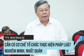 PGS. TS. Đinh Dũng Sỹ, Trọng tài viên VIAC: Cần có cơ chế tổ chức thực hiện pháp luật nghiêm minh, nhất quán