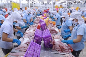 Cảnh báo lừa đảo thương mại với doanh nghiệp xuất khẩu