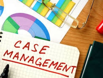 Digital Case Management in International Arbitration