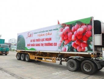 Doanh nghiệp phòng tránh rủi ro nào khi giao dịch điện tử?