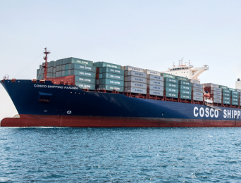 Vụ 100 container điều xuất khẩu sang Italy: Bài học đắt giá trong giao dịch quốc tế