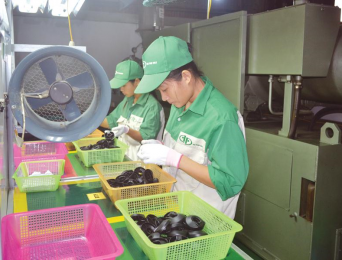 Doanh nghiệp quan tâm cắt được bao nhiêu chi phí