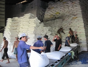 Nông sản vào Trung Quốc sụt giảm: cần giải pháp mạnh