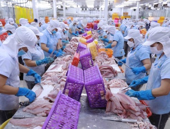 Cảnh báo lừa đảo thương mại với doanh nghiệp xuất khẩu