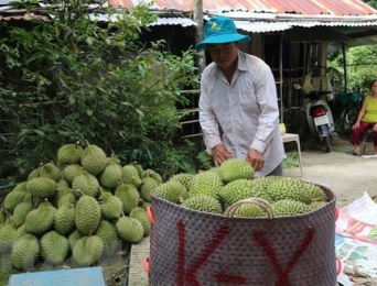 Farm produce needs improved quality to unlock EU market