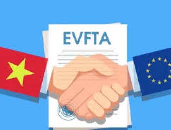 EVFTA không phải để tận dụng theo kiểu “mỳ ăn liền”