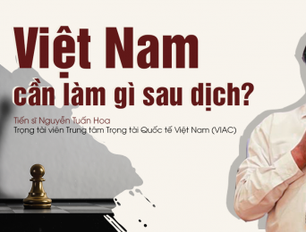 Việt Nam cần làm gì sau dịch?