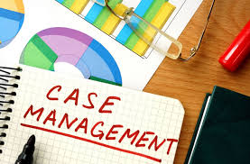 Digital Case Management in International Arbitration Digital Case Management in International Arbitration